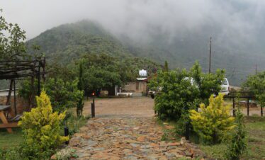 Green Forest Adventure – Dana Tours Saudi