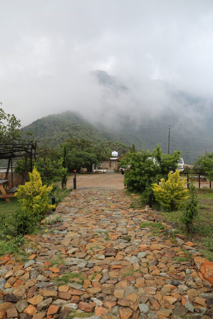 Green Forest Adventure – Dana Tours Saudi