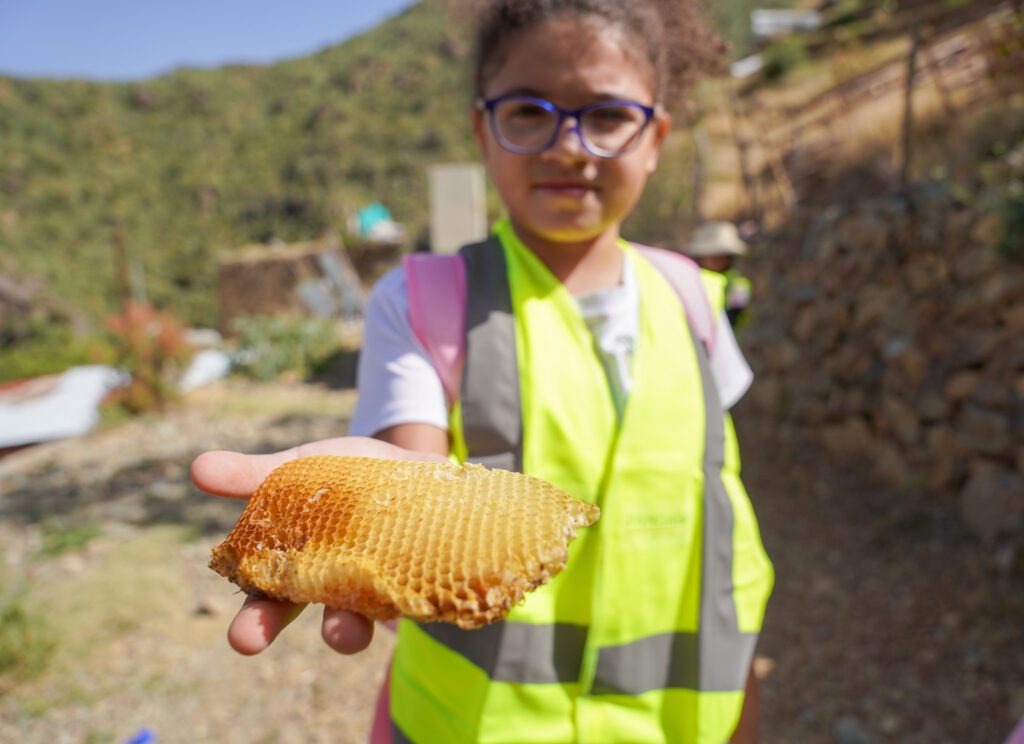 Kids in nature – Dana Tours Saudi