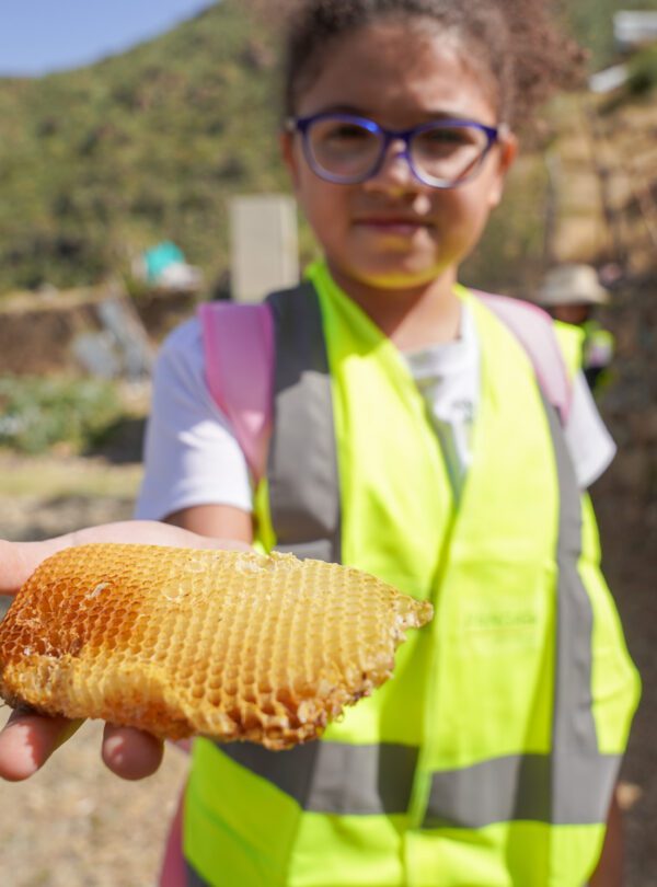 Kids in nature – Saudi Arabia tour photo 2