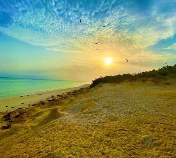 Discover Aseer (marka island) – Saudi Arabia tour photo 3
